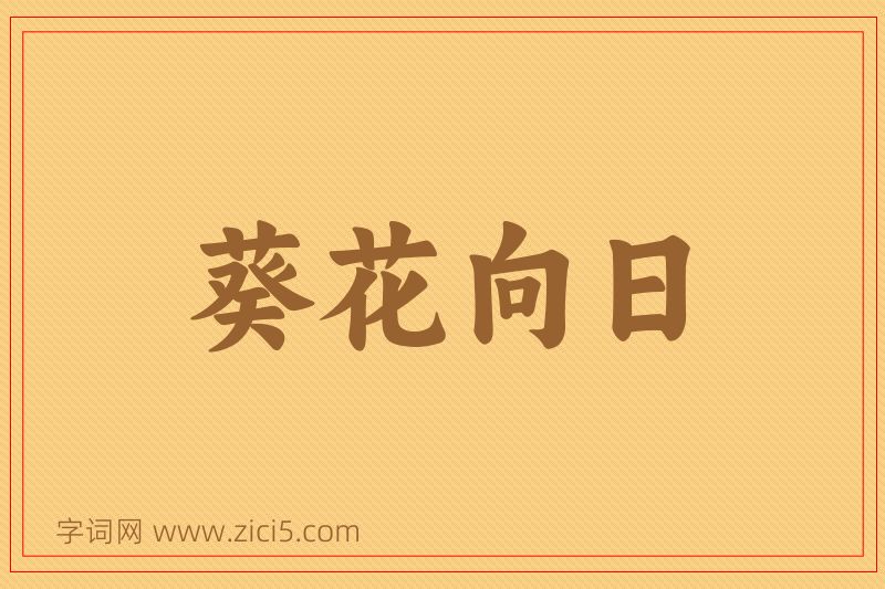 成语葵花向日图片