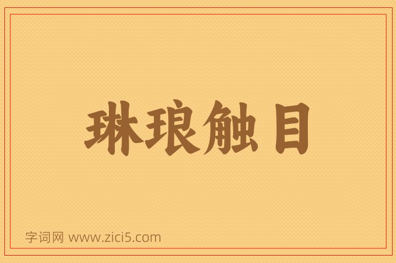 成语琳琅触目图片