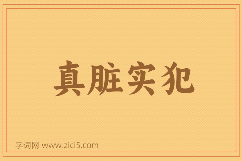 成语真脏实犯图片