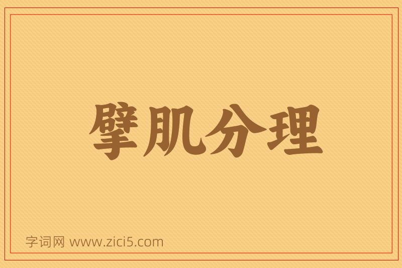 成语擘肌分理图片