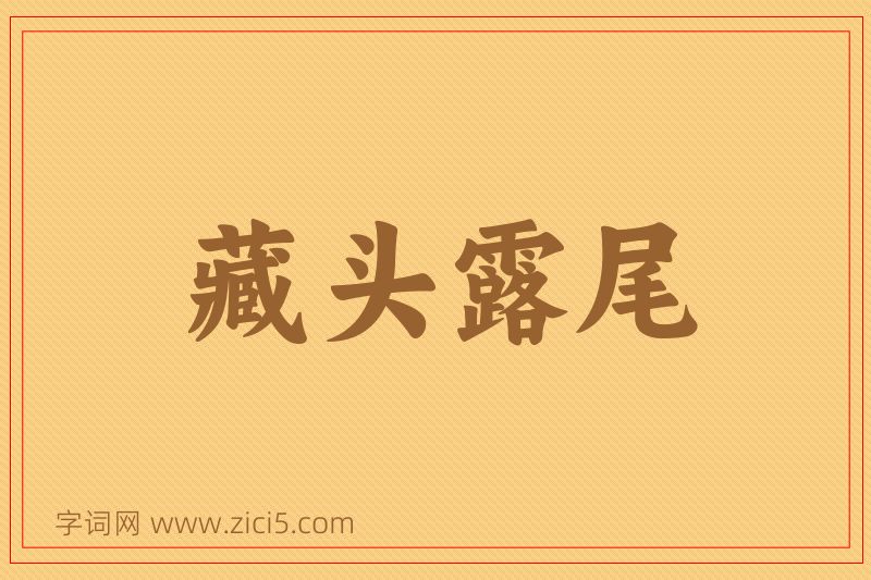 成语藏头露尾图片