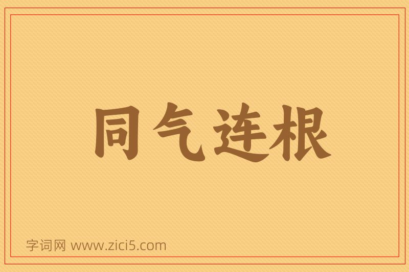 成语同气连根图片