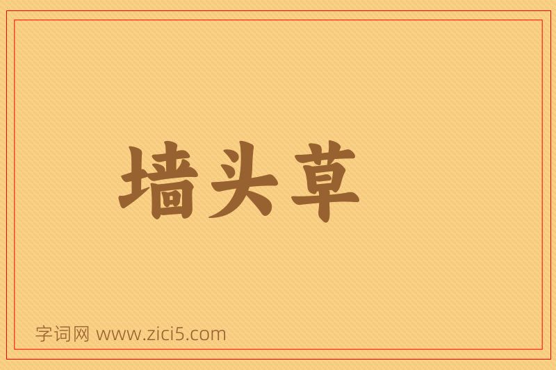 成语墙头草图片
