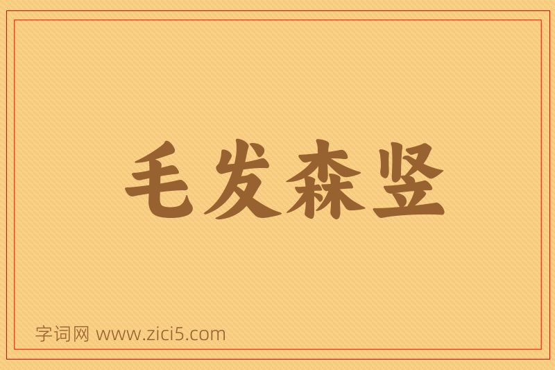 成语毛发森竖图片