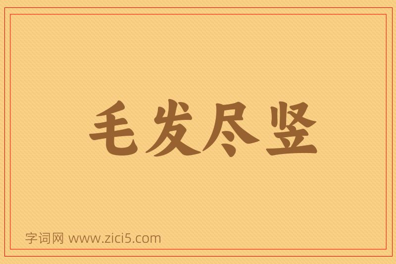 成语毛发尽竖图片
