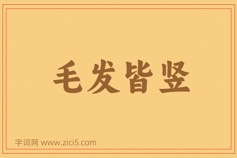 成语毛发皆竖图片