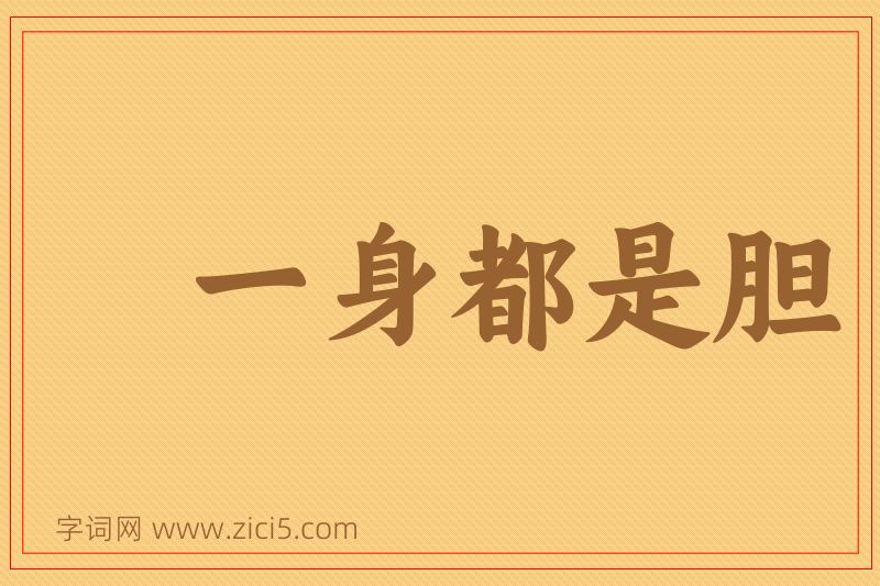 成语一身都是胆图片