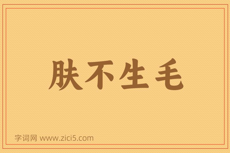 成语肤不生毛图片
