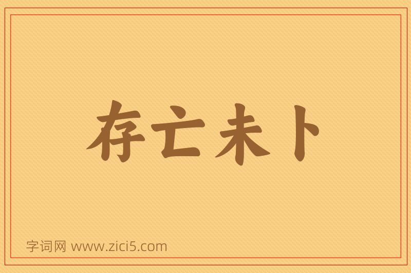 成语存亡未卜图片