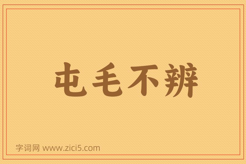 成语屯毛不辨图片