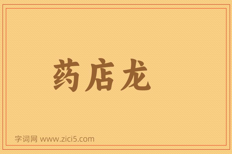 成语药店龙图片