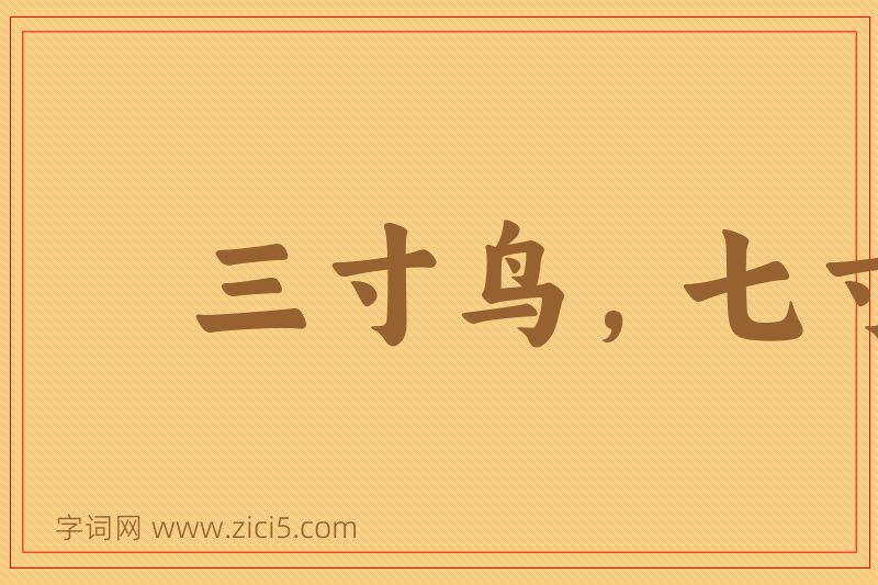 成语三寸鸟，七寸嘴图片