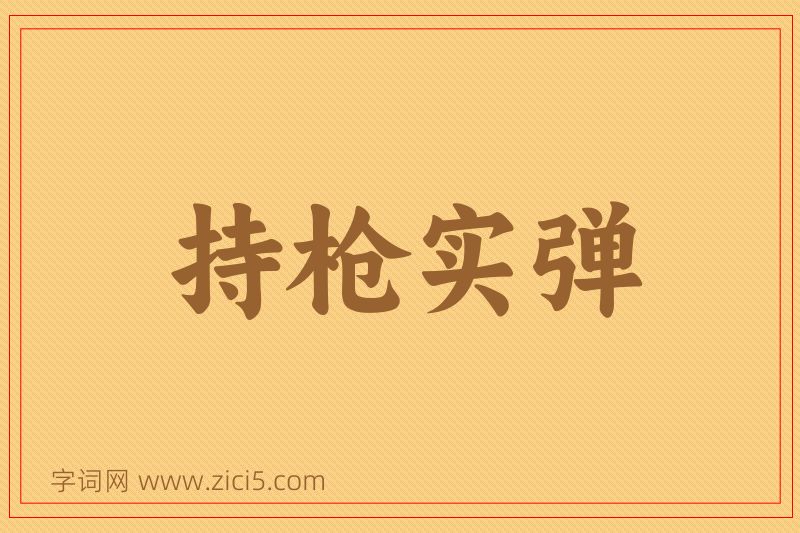 成语持枪实弹图片