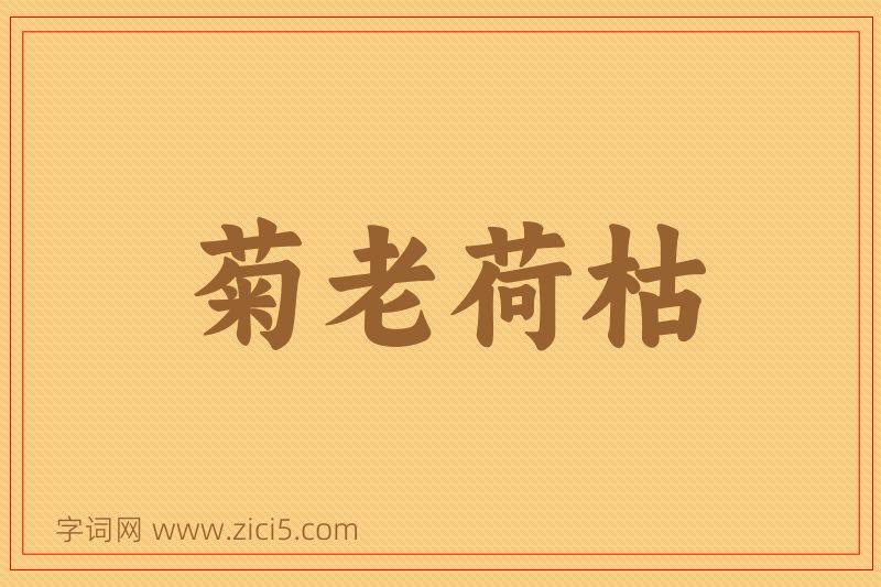 成语菊老荷枯图片