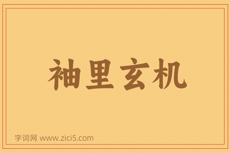 成语袖里玄机图片