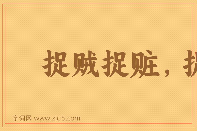 成语捉贼捉赃，捉奸捉双图片