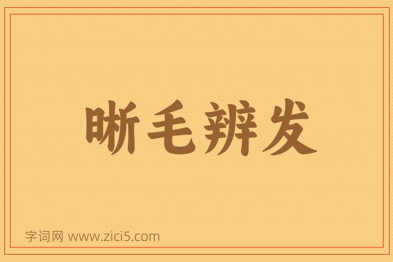 成语晰毛辨发图片