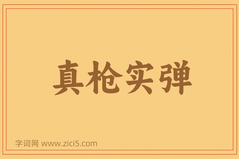 成语真枪实弹图片