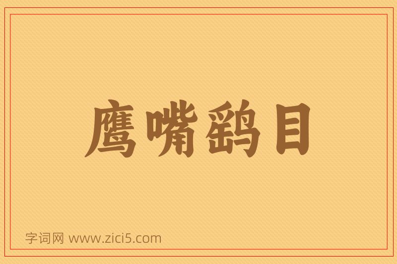 成语鹰嘴鹞目图片