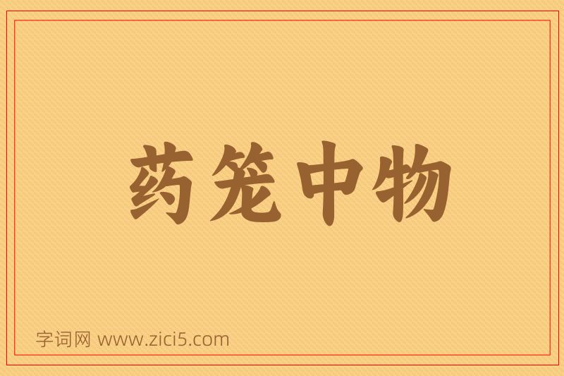 成语药笼中物图片