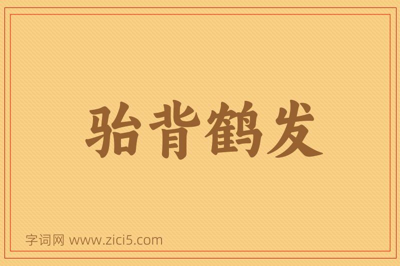 成语骀背鹤发图片