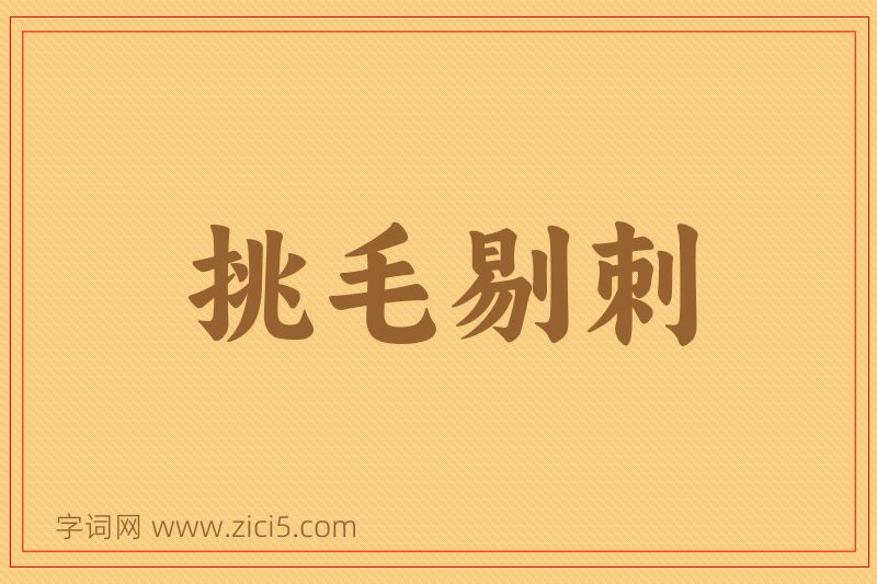 成语挑毛剔刺图片
