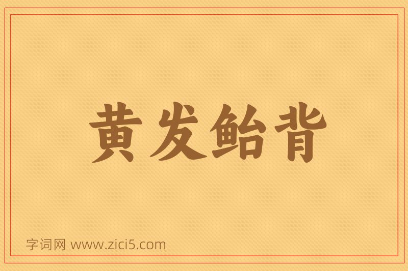 成语黄发鲐背图片