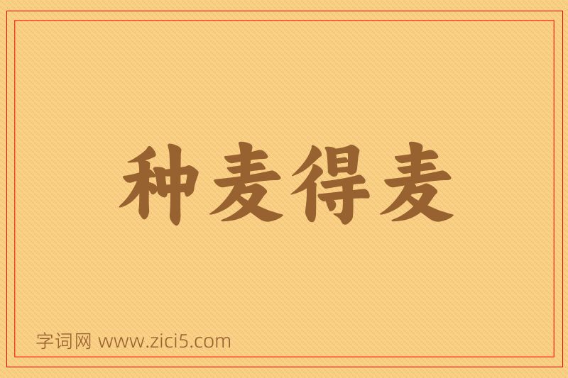 成语种麦得麦图片