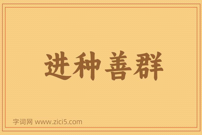 成语进种善群图片