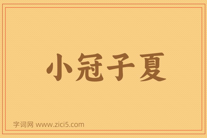 成语小冠子夏图片