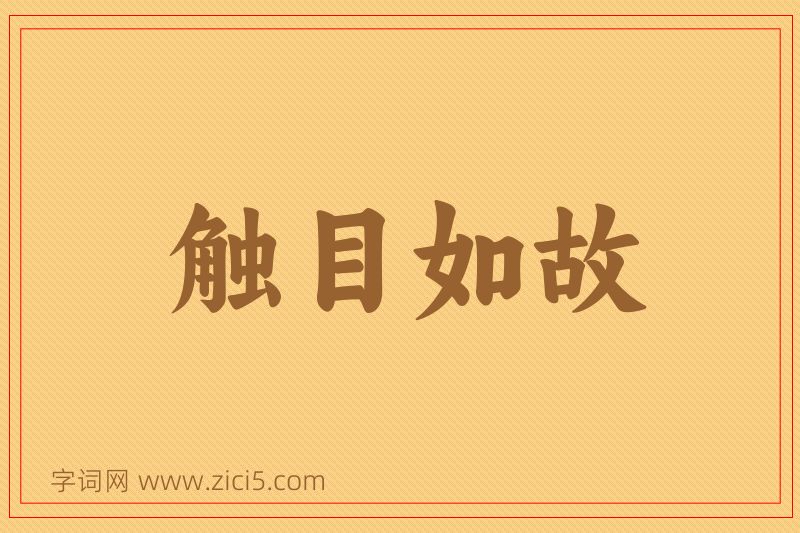 成语触目如故图片
