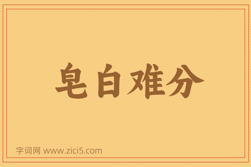 成语皂白难分图片