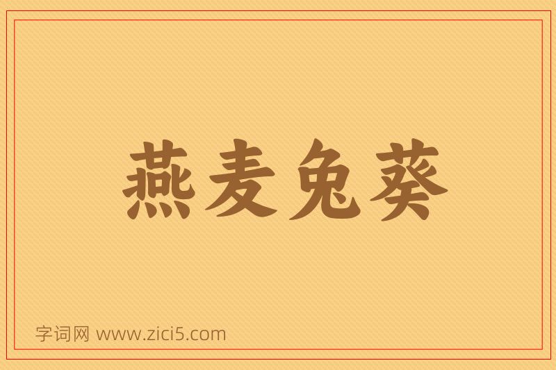 成语燕麦兔葵图片