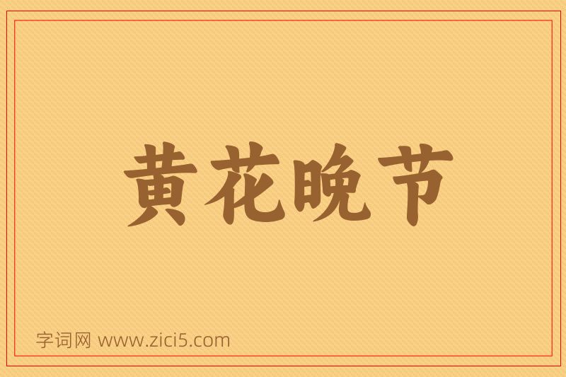 成语黄花晚节图片