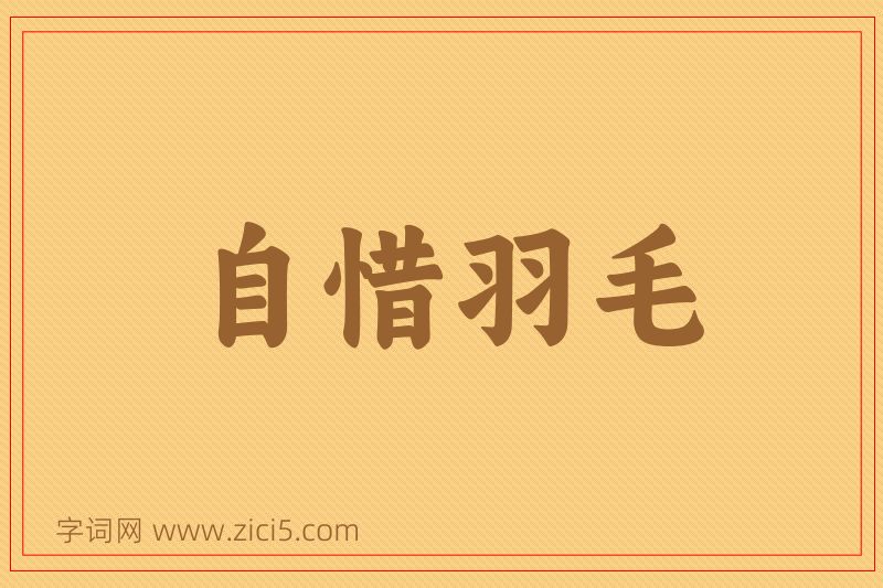 成语自惜羽毛图片