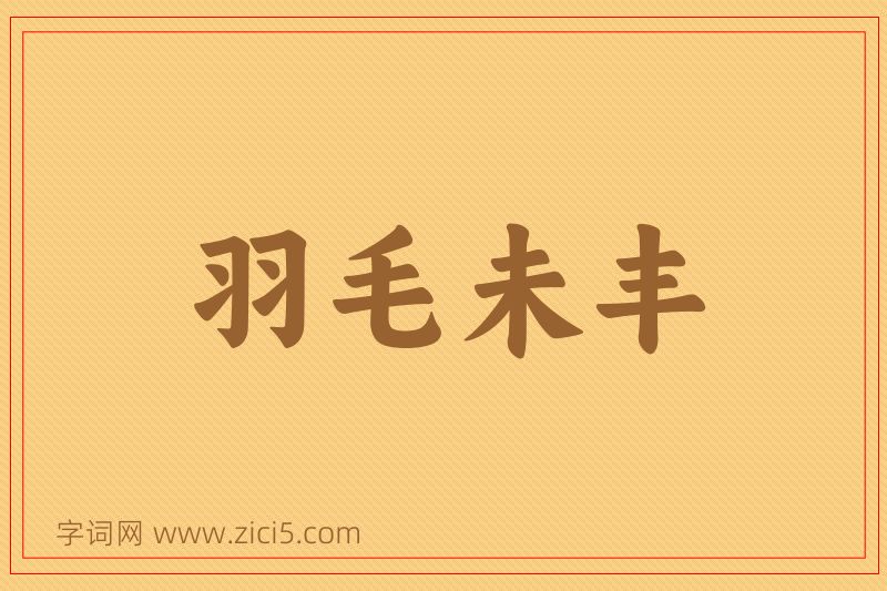 成语羽毛未丰图片