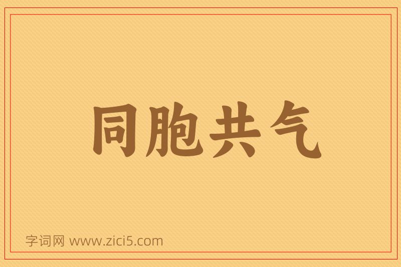 成语同胞共气图片