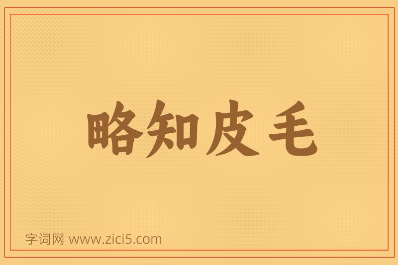 成语略知皮毛图片
