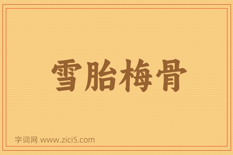 成语雪胎梅骨图片