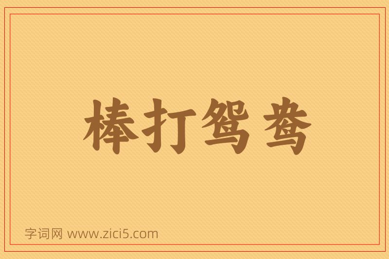 成语棒打鸳鸯图片
