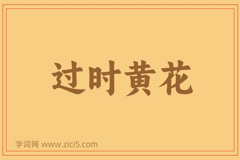 成语过时黄花图片