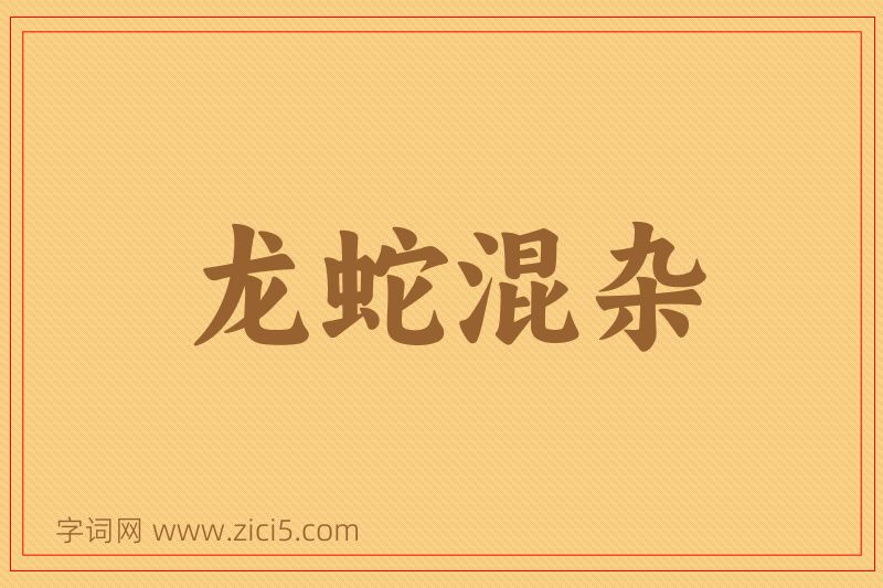 成语龙蛇混杂图片