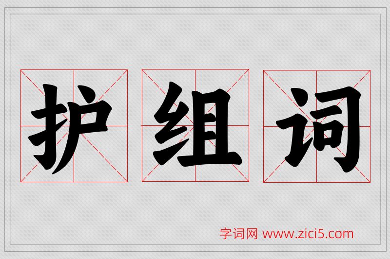 护字的组词