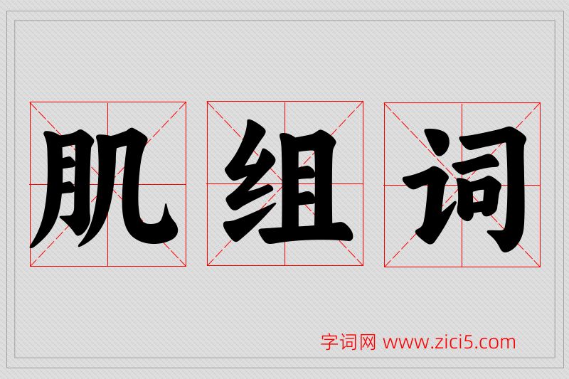 肌字的组词