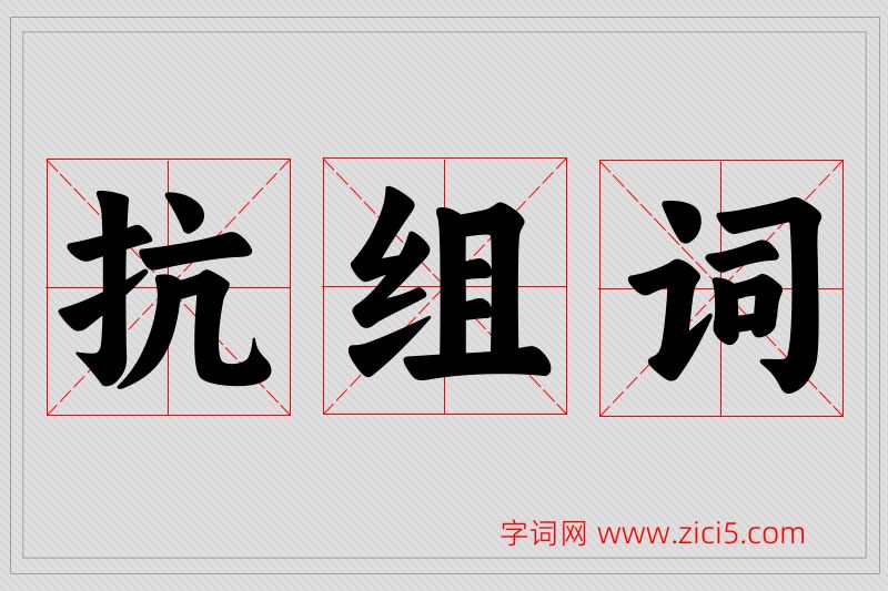 抗字的组词