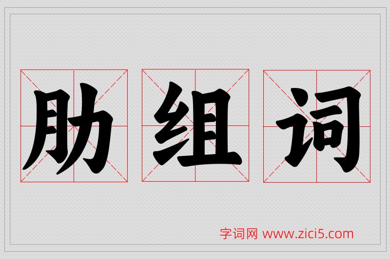 肋字的组词