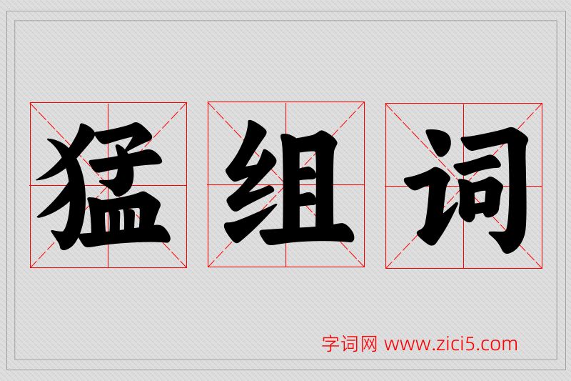 猛字的组词