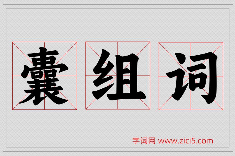 囊字的组词