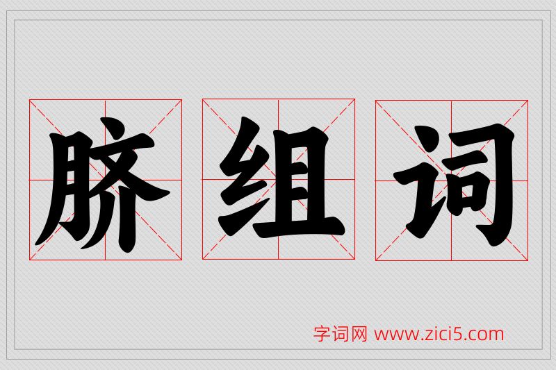 脐字的组词