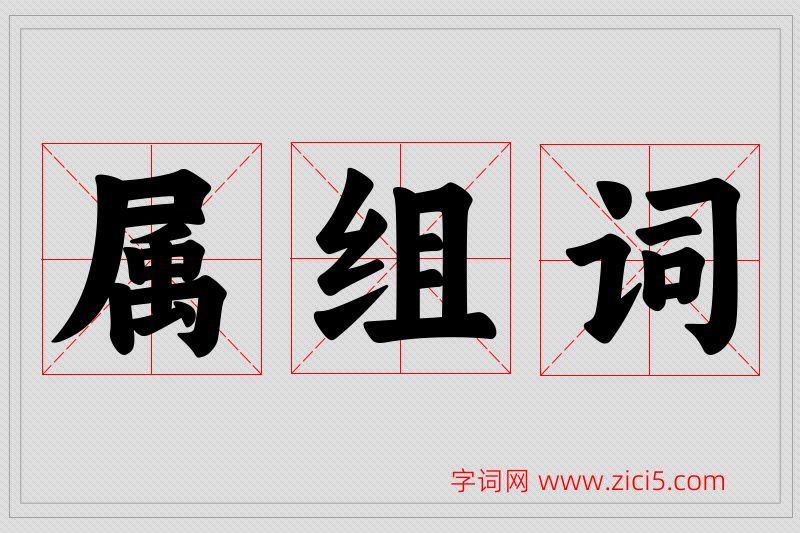 属字的组词